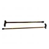 Pair of Antique Canes