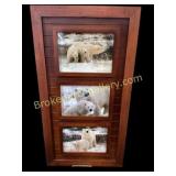 Framed Photographs of Polar Bears