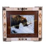Framed Diana Nellans Grizzly Bear Photo