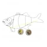 Wire Fish Wall Art & Ceramic Seashell Boxes
