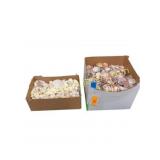 Two Boxes Collected Sea Shells