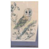 Sallie Middleton Barn Owl Print