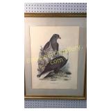 Biltmore House Library Print, Eagle