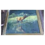 Oil on Board, Elk