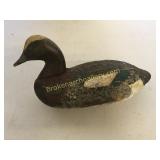 Eastern Shore Wedgion Drake