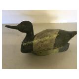 Blue Bill with Calling Head
