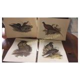 8 Unframed Prints