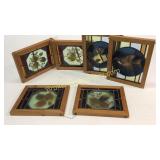 6 Pieces Stained Glass
