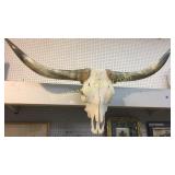 Vintage Longhorn Skull