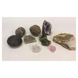 Group Of Fossils and Crystals