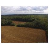 28+/- Acre Indianapolis Land Auction