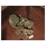 Rocks