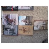 Books on horses: Affirmed, Think Harmony with