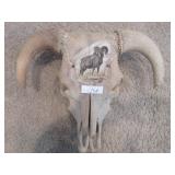 Bull skull with big horn sheep painting