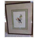 Colored Litho Song Birds