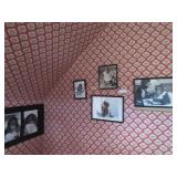 Photos of chimps