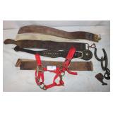 Horse Supplies: Mini Horse Halter, Belt Tack &