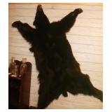 Black Bear Pelt, 40x57"