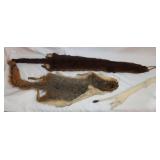 15" Ermine Pelt, Squirrel, & Marmot