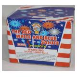 The Red, White, & Blue Salute 24 Shot Cake