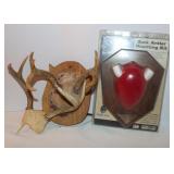 Buck Antler Mounting Kit, Deer Antlers and Mount