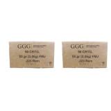 100 rds | 223 Rem 55 gr FMJ Ammo GGG