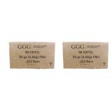 100 rds | 223 Rem 55 gr FMJ Ammo GGG