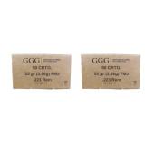 100 rds | 223 Rem 55 gr FMJ Ammo GGG
