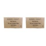 100 rds | 223 Rem 55 gr FMJ Ammo GGG