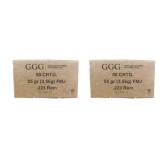 100 rds | 223 Rem 55 gr FMJ Ammo GGG