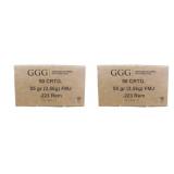 100 rds | 223 Rem 55 gr FMJ Ammo GGG