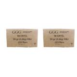 100 rds | 223 Rem 55 gr FMJ Ammo GGG
