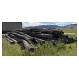 Large Lot of Unsplit Firewood Logs