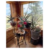 Plant Stands w/ Plants & Decor