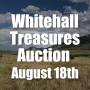Summer Showcase Auction
