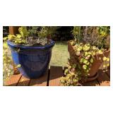 (2) Planters