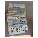 MT License Plates