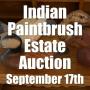 Indian Paintbrush Estate Auction