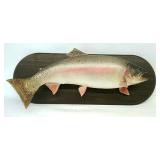 Big Mission Lake Trohpy Trout Mount