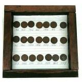 (21) Indian Head Pennies in Display