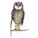 Perched Owl Metal Art