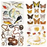 (15) Vintage Smokey The Bear Nature Posters