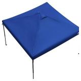 New 10ft x10ft Canopy Top