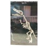 6 Foot Dinosaur Skeleton