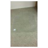 FloorTex Carpet Protector