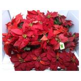 (10) Poinsettia Stems & Spray