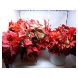 (20) Poinsettia  Sticks & Bushes