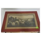 Old Picture of Sheep