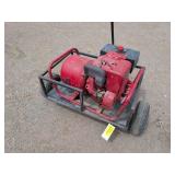 Portable Generator on cart, 4000 Watt, Tecumseh