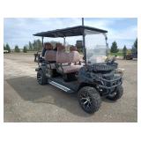 6 Person Golf Cart, Electric, screen, unused